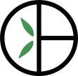 Bamboo Basics